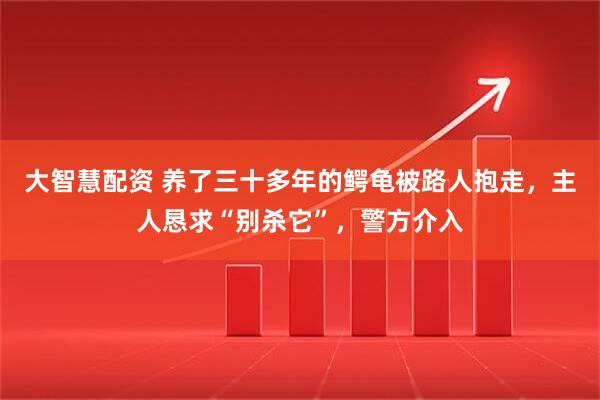 大智慧配资 养了三十多年的鳄龟被路人抱走，主人恳求“别杀它”，警方介入