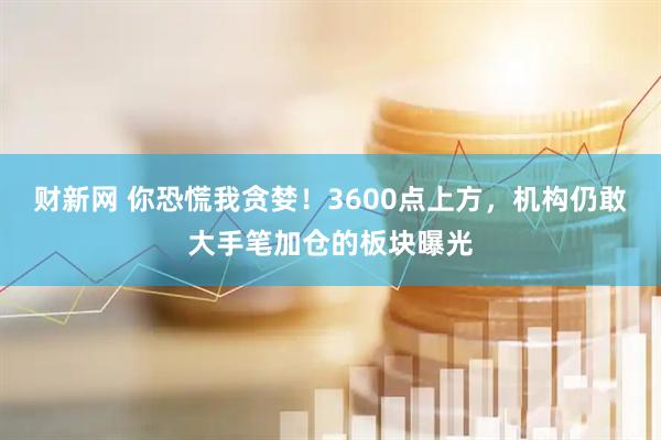 财新网 你恐慌我贪婪！3600点上方，机构仍敢大手笔加仓的板块曝光